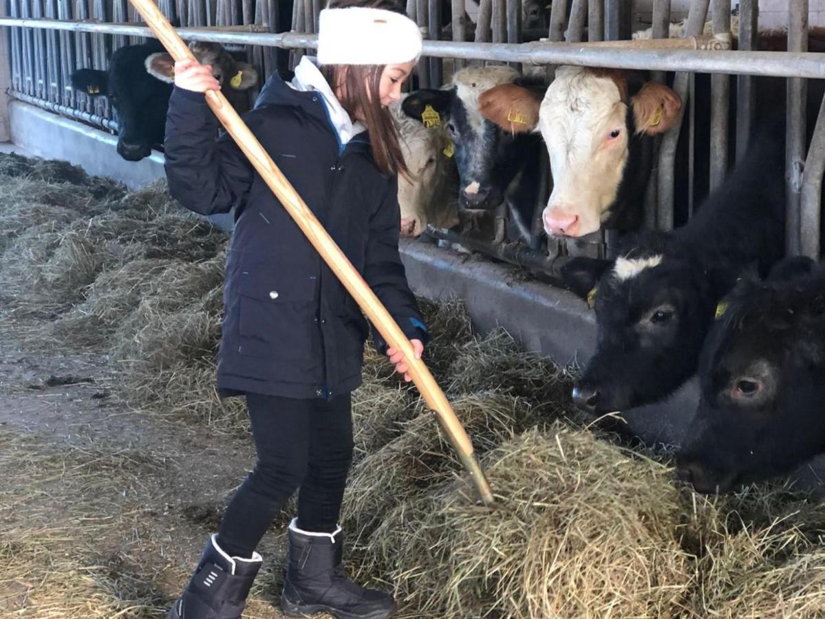 Ferienhof Koenig Neukirch  Exteriör bild
